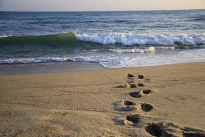 pegadas em uma praia levando às ondas foto