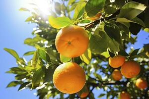 ai gerado laranja fruta em árvore. ai gerado foto