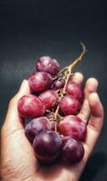 fechar acima Visão do homem segurando uma raminho do uvas estava fotografado com a conceito do dando uma luz efeito para a uvas foto