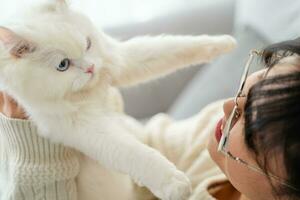 a lindo jovem ásia mulher é jogando com a fofa branco persa gato dentro a vivo quarto às lar. animal animal conceito. foto