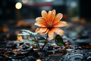 ai gerado uma flor dentro a chuva ai gerado foto