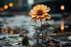 ai gerado uma flor dentro a chuva ai gerado foto