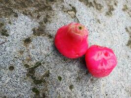 vermelho rosa maçãs Java maçã ou água maçã, Tailândia foto