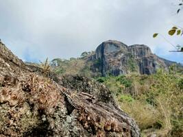 a semelhante a uma montanha Rocha estava criada de uma vulcânico erupção milhões do anos atrás, localizado dentro Yogyakatra - Indonésia. foto