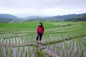 ásia mulher é liberdade e feliz em terraço arroz arroz Campos em montanha dentro a interior, chiangmai província do tailândia. pessoas para viagem dentro vegetação tropical chuvoso estação conceito foto