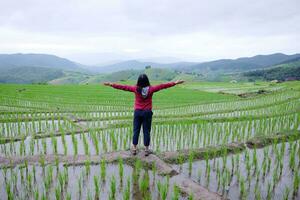 ásia mulher é liberdade e feliz em terraço arroz arroz Campos em montanha dentro a interior, chiangmai província do tailândia. pessoas para viagem dentro vegetação tropical chuvoso estação conceito foto