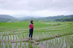 ásia mulher é liberdade e feliz em terraço arroz arroz Campos em montanha dentro a interior, chiangmai província do tailândia. pessoas para viagem dentro vegetação tropical chuvoso estação conceito foto
