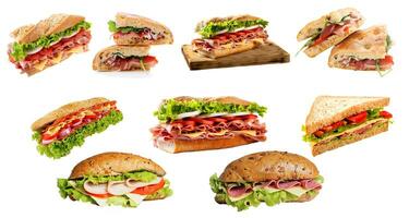 coleção do diferente velozes Comida sanduíches foto