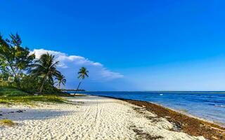 praia tropical do caribe água turquesa clara playa del carmen méxico. foto