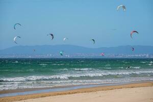 kitesurf kitesurf kiteboarder kitesurfer pipas em a oceano de praia foto