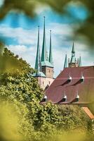 Visão através a árvores para a catedral do Erfurt foto