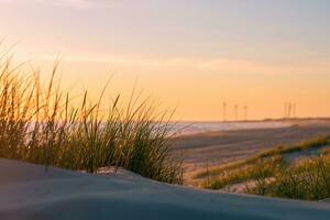 Relva e areia dentro a dunas às a dinamarquês oeste costa foto