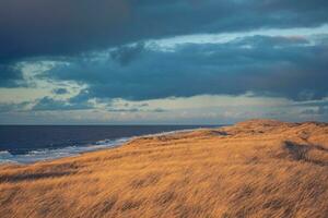 Largo dunas às a dinamarquês costa foto