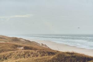 Largo dunas às dinamarquês oeste costa foto