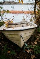 abandonado barco às a costa do uma lago foto