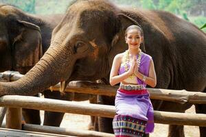 retrato do lindo rural tailandês mulher vestem tailandês norte tradicional vestir agindo para phot tiro com ásia elefante em borrado fundo. foto