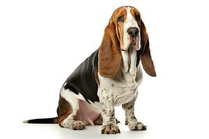 ai gerado realista basset cão de caça clipart foto