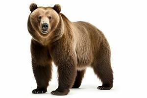 ai gerado Castanho Urso clipart foto