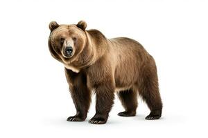 ai gerado Castanho Urso clipart foto