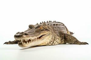 ai gerado selvagem crocodilo clipart foto