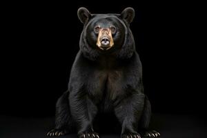 ai gerado realista Preto Urso clipart foto