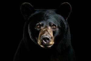 ai gerado realista Preto Urso clipart foto