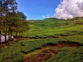 lindo Visão do a rochoso estrada com Campo de grama a partir de a lados e a Colina dentro a distância foto