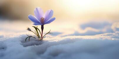 ai gerado roxa flor dentro neve, foto