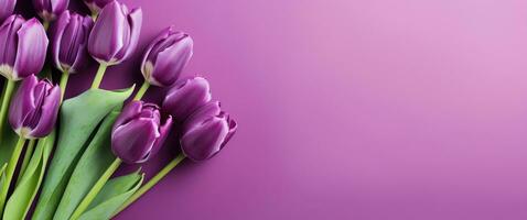ai gerado lindo roxa tulipas em uma roxa fundo, foto
