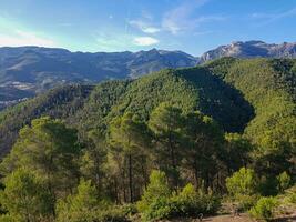 uma tirar o fôlego Visão do natureza foto