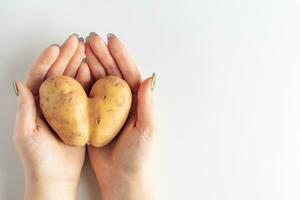 coração em forma batatas dentro mãos em uma branco fundo. dia dos namorados dia conceito. foto