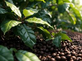 ai gerado natureza café feijões fechar acima para fundo. café plantação foto