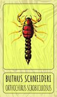cor ilustração do uma Preto escorpião ou Buthus schneideri ou dentro latim orthochirus escrobiculosus. generativo ai. foto