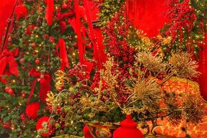 fechar-se do Natal árvore ramo decoração do vivo sala. festão, dourado flores, luzes e sorvas em abeto abeto galhos. inverno feriados composição com cópia de espaço foto