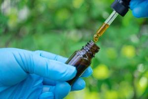 médicos segurando uma garrafa de produto de planta de óleo de erva, dosagem de gotículas, biologia e ecologia, medicina alternativa