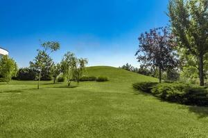 verde parque com aparado grama, Colina e árvores dentro verão foto