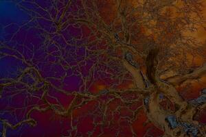 abstrato cor do morto árvores dentro verão foto