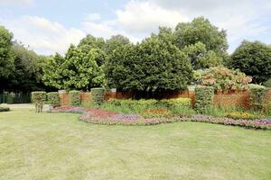 cênico Visão do uma lindo flor estilo panorama jardim com uma verde ceifada gramado e colorida flor cama com seletivo foco foto