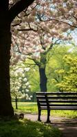 ai gerado uma pacífico imagem do uma solitário parque Banco aninhado entre florescendo árvores e exuberante vegetação, foto