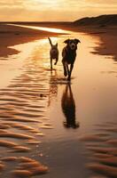 ai gerado silhuetas do cachorros corrida em arenoso praias cachorro foto