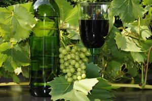 uvas e folhas de vinho branco foto