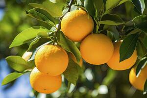 ai gerado laranja fruta em árvore. ai gerado foto