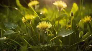 ai gerado a verde Primavera manhã. generativo ai foto