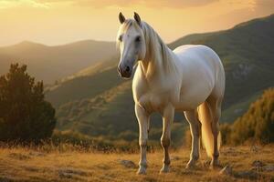 ai gerado branco cavalo ou égua dentro a montanhas às pôr do sol. ai gerado foto