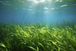 ai gerado embaixo da agua Visão do uma grupo do solo oceânico com verde algas marinhas. ai gerado foto