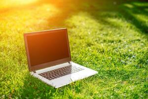 computador portátil com em branco tela em verde gramado foto