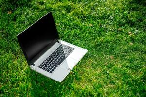 computador portátil com em branco tela em verde gramado foto