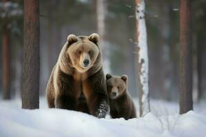 ai gerado Castanho Urso com fofa filhote dentro inverno floresta. gerar ai foto