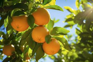 ai gerado laranja fruta em árvore. ai gerado foto