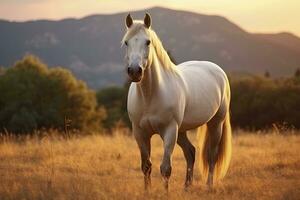 ai gerado branco cavalo ou égua dentro a montanhas às pôr do sol. ai gerado foto